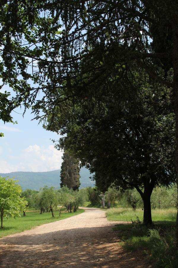 Villa La Cascianella à Florence Extérieur photo